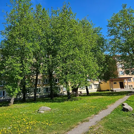 Stuudiokorter Kristiine Roheluses Talin